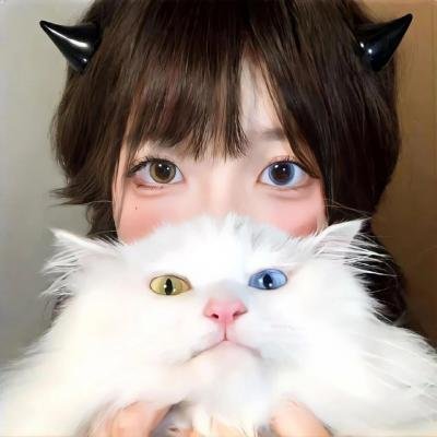 沈先生他又争又抢